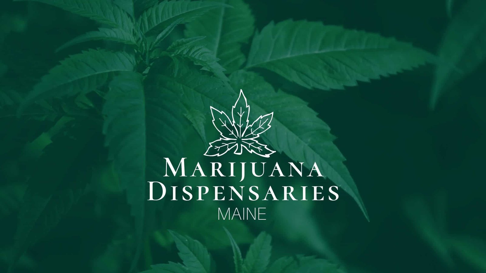 Where Are Marijuana Dispensaries In Maine
